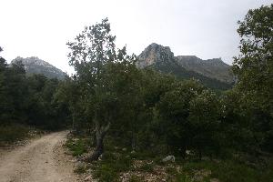 Wanderung auf den Massanella