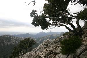 Wanderung auf den Massanella
