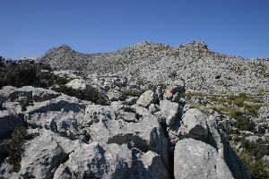 Wanderung auf den Massanella