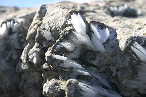Wanderung auf den Massanella